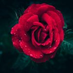 istanbul silivri escort